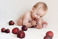 Baby probiert frisches Obst